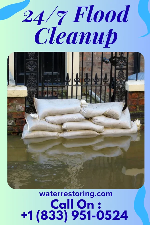 24/7 Flood Cleanup in Clintwood, VA