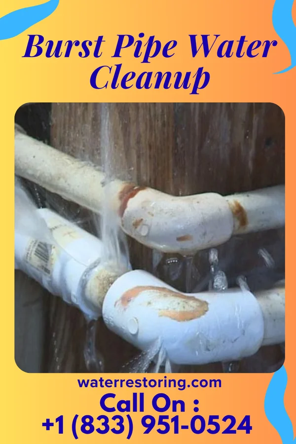 Burst Pipe Water Cleanup in Clintwood, VA