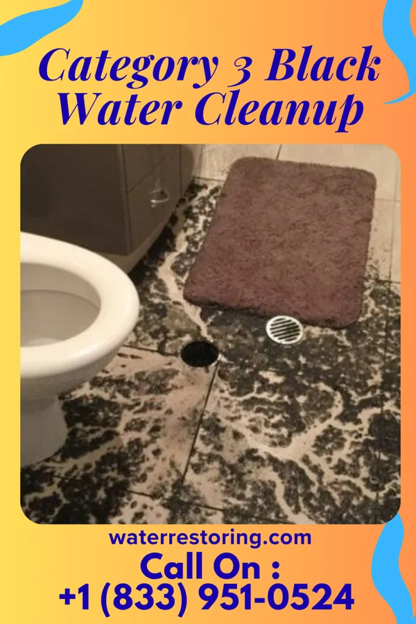 Category 3 Black Water Cleanup in Clintwood, VA