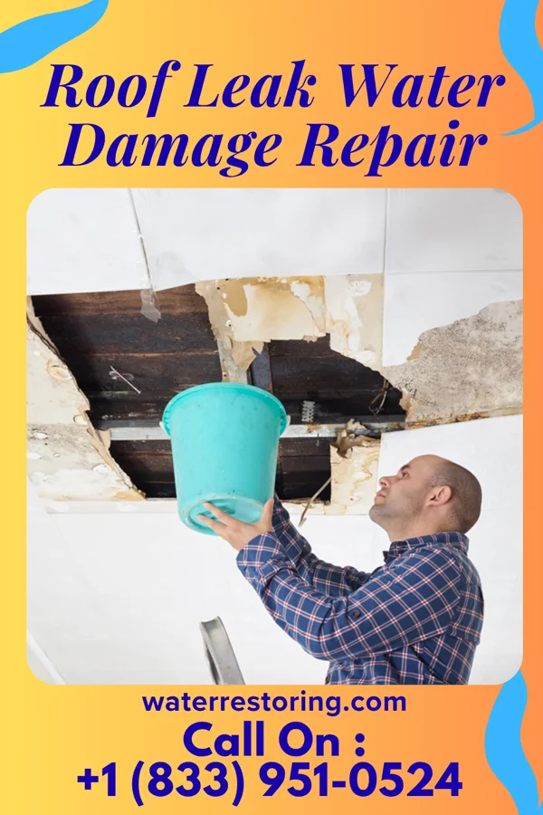Roof Leak Water Damage Repair in Clintwood, VA