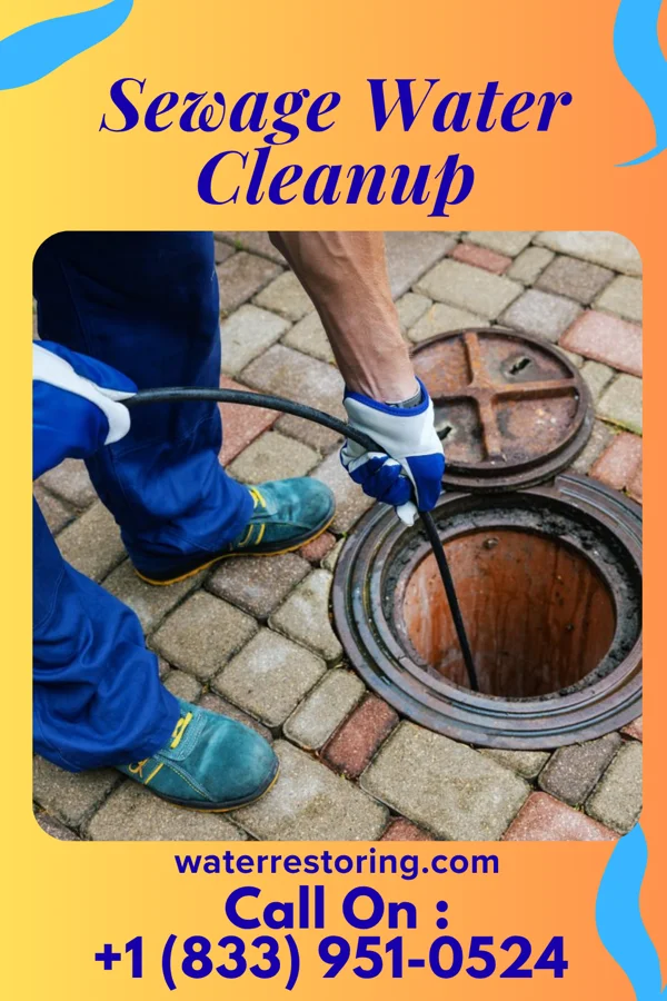 Sewage Water Cleanup in Clintwood, VA