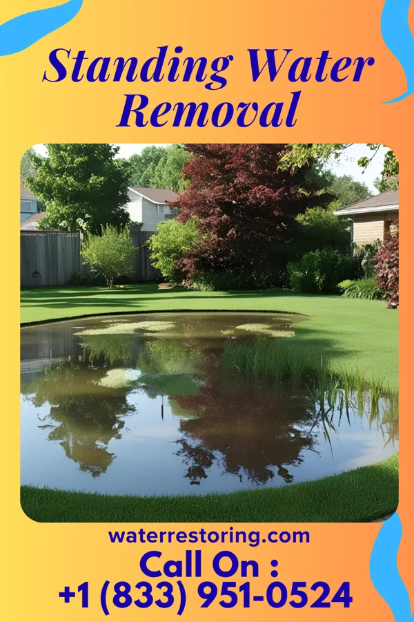 Standing Water Removal in Clintwood, VA